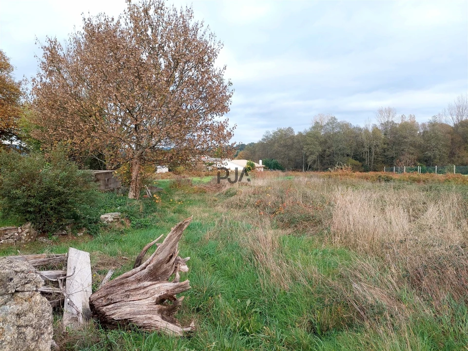 Terreno para Venda em Quintela de Azurara Foto 2