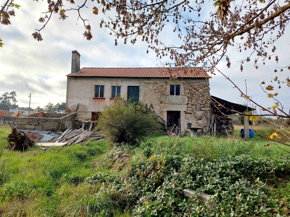 Terreno para Venda em Quintela de Azurara Foto 7