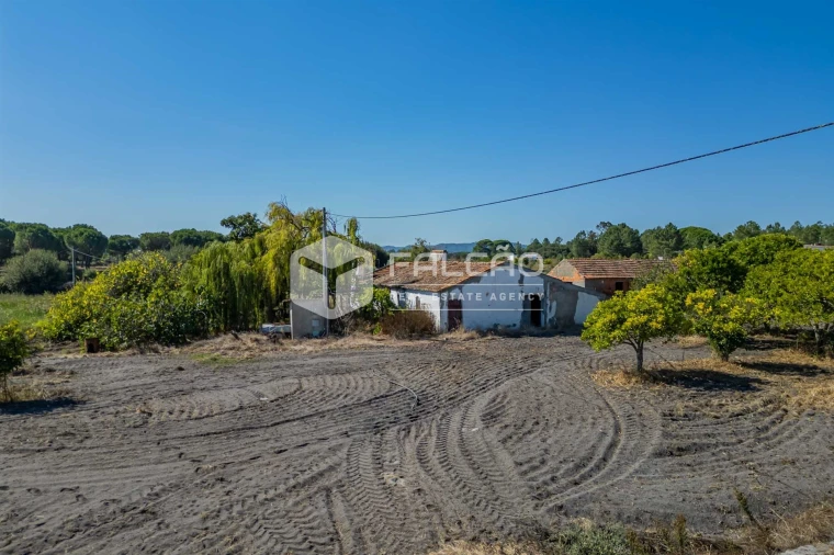 Moradia T3 para Venda em Grândola e Santa Margarida da Serra Foto 35