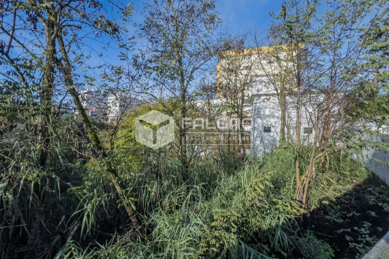 Terreno para Venda em Marvila, Ribeira Santarém, São Salvador, São Nicolau Foto 33