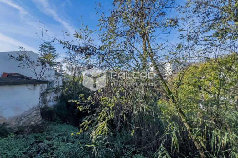 Terreno para Venda em Marvila, Ribeira Santarém, São Salvador, São Nicolau Foto 34
