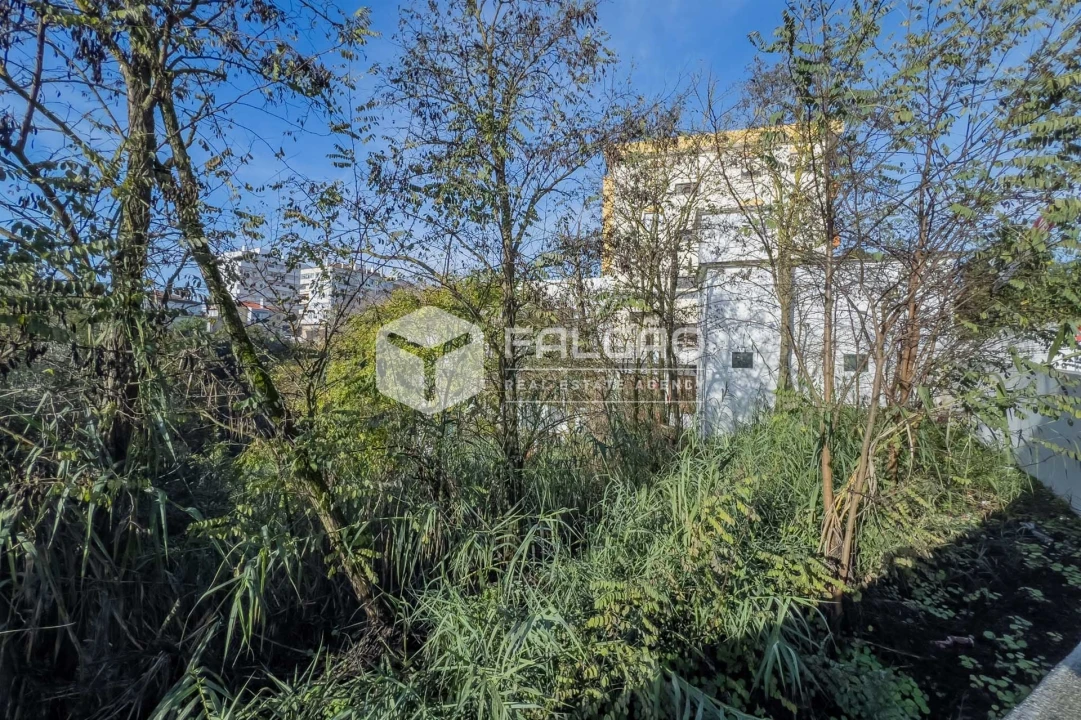 Terreno para Venda em Marvila, Ribeira Santarém, São Salvador, São Nicolau Foto 33