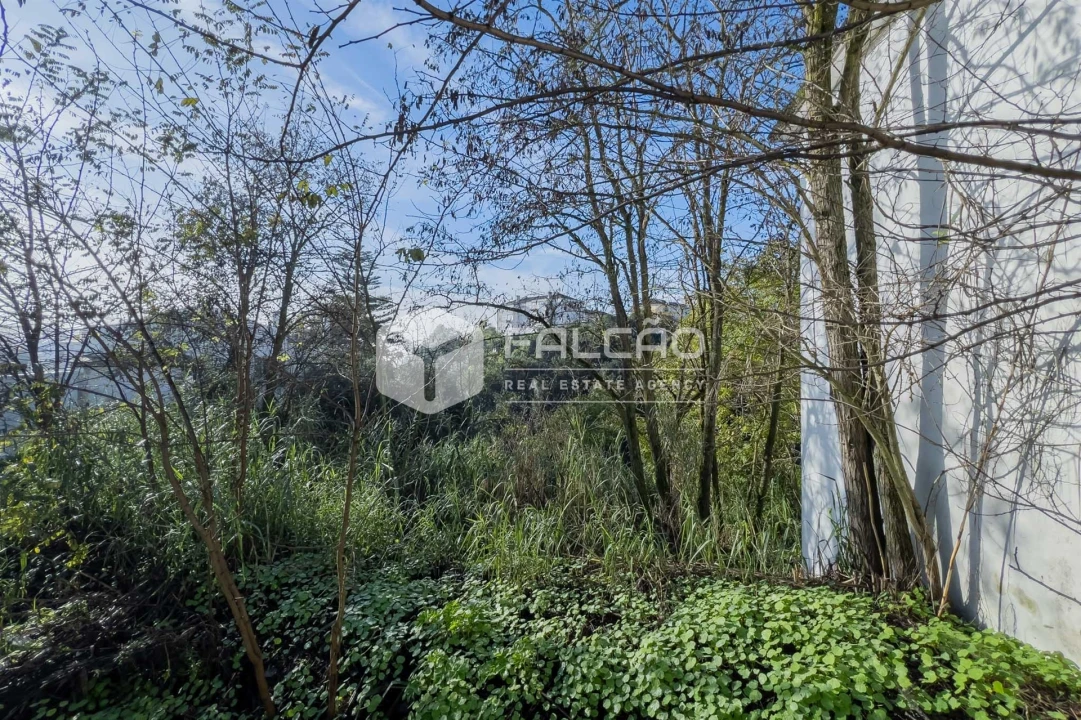 Terreno para Venda em Marvila, Ribeira Santarém, São Salvador, São Nicolau Foto 35