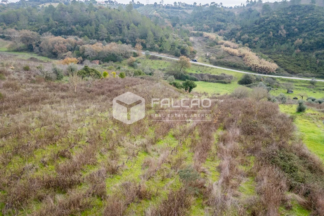 Terreno para Venda em Azoia de Cima e Tremês Foto 31