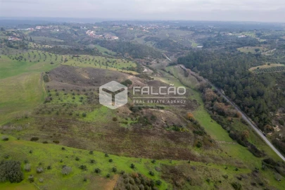 Terreno para Venda em Azoia de Cima e Tremês