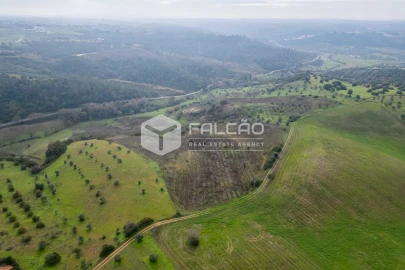 Terreno para Venda em Azoia de Cima e Tremês