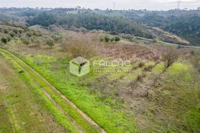 Terreno para Venda em Azoia de Cima e Tremês