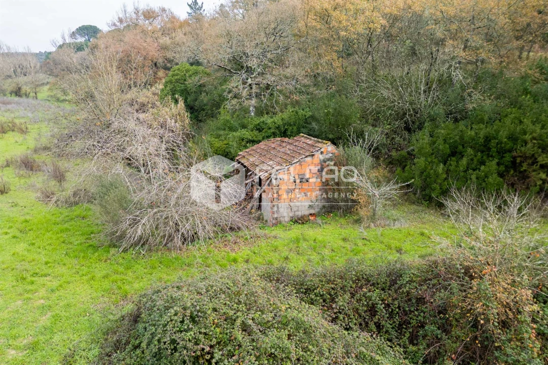 Terreno para Venda em Azoia de Cima e Tremês Foto 40