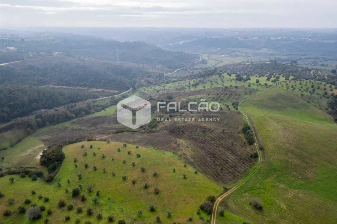 Terreno para Venda em Azoia de Cima e Tremês Foto 18