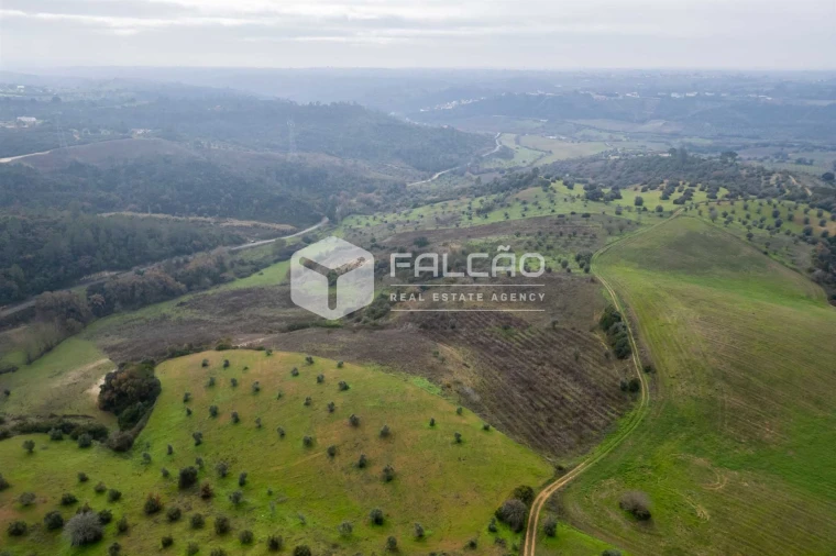Terreno para Venda em Azoia de Cima e Tremês Foto 18
