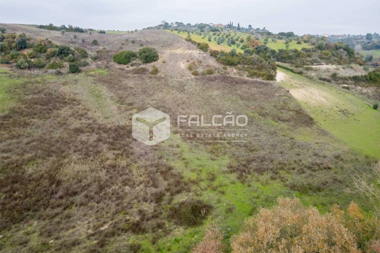 Terreno para Venda em Azoia de Cima e Tremês Foto 38