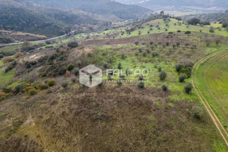 Terreno para Venda em Azoia de Cima e Tremês Foto 34