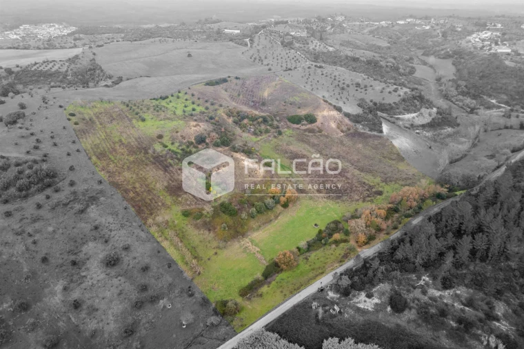 Terreno para Venda em Azoia de Cima e Tremês Foto 14