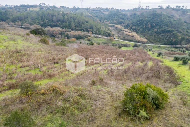 Terreno para Venda em Azoia de Cima e Tremês Foto 32