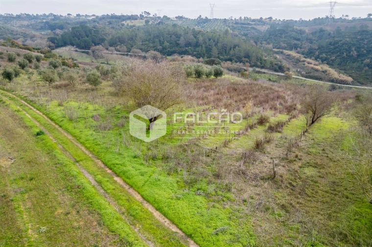 Terreno para Venda em Azoia de Cima e Tremês Foto 33