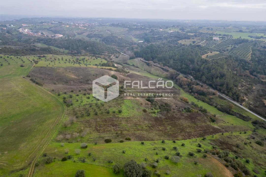 Terreno para Venda em Azoia de Cima e Tremês Foto 23