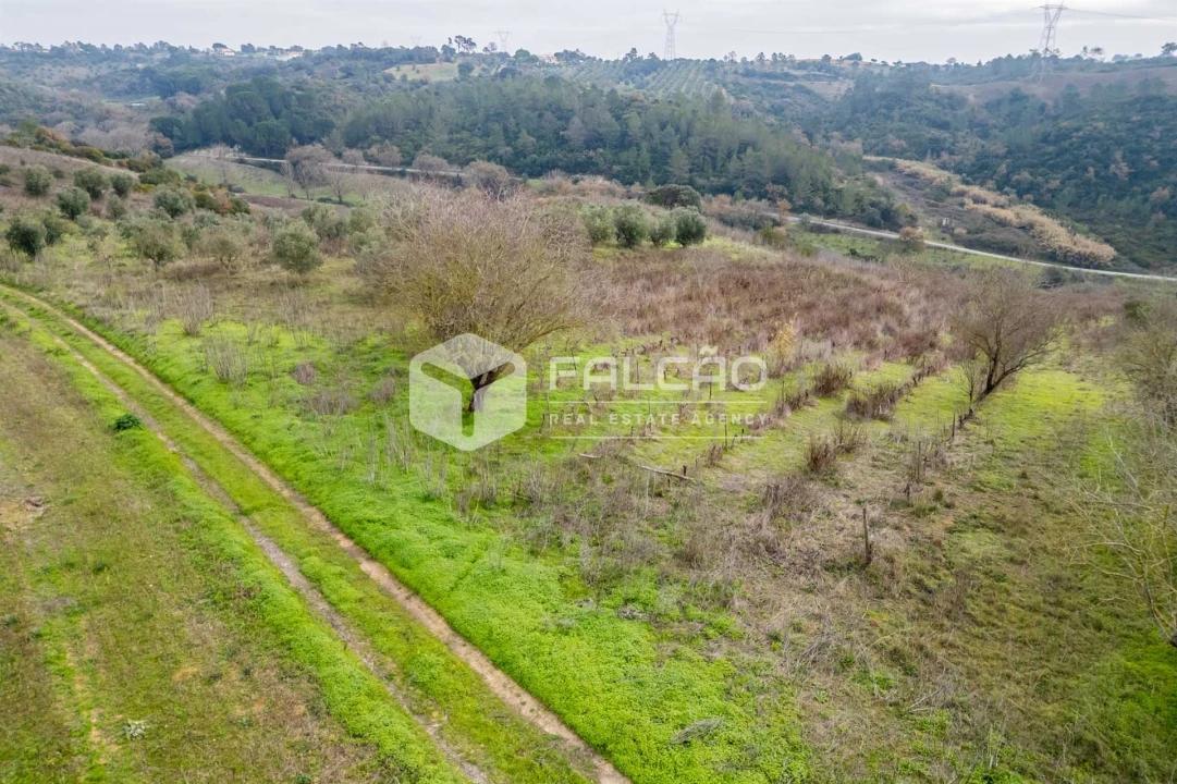 Terreno para Venda em Azoia de Cima e Tremês Foto 33