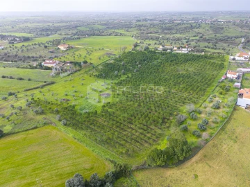 Terreno Agricola ou Rústico para Venda em Romeira e Várzea