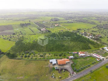 Terreno Agricola ou Rústico para Venda em Romeira e Várzea