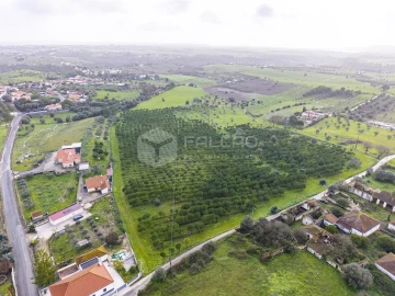 Terreno Agricola ou Rústico para Venda em Romeira e Várzea