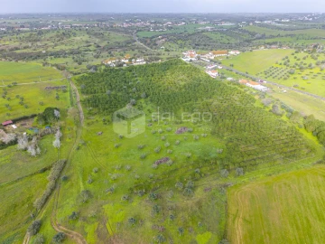 Terreno Agricola ou Rústico para Venda em Romeira e Várzea