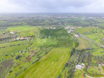Terreno Agricola ou Rústico para Venda em Romeira e Várzea