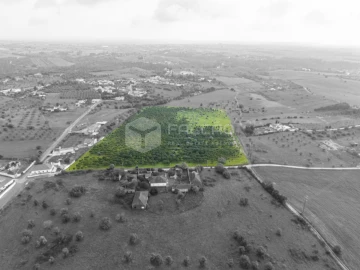 Terreno Agricola ou Rústico para Venda em Romeira e Várzea