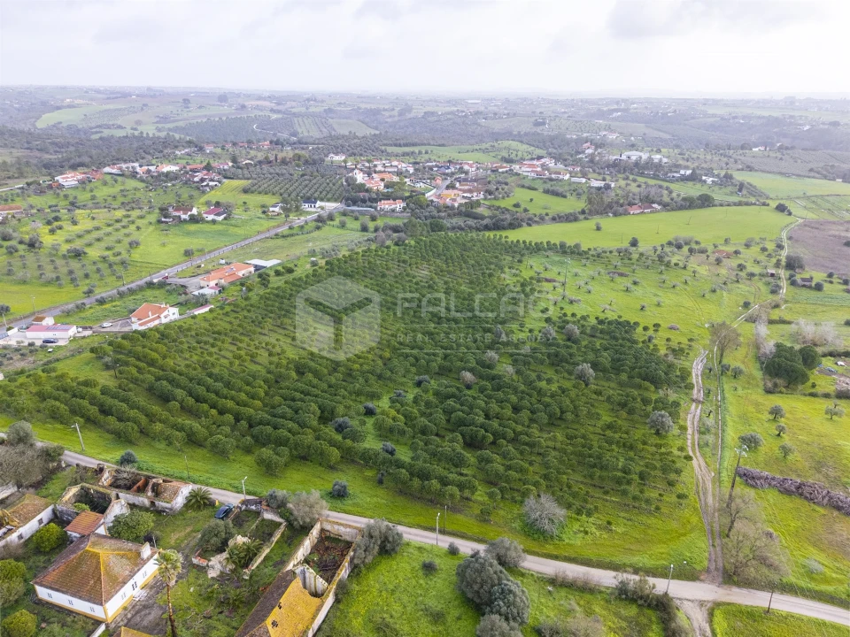Terreno Agricola ou Rústico para Venda em Romeira e Várzea Foto 17