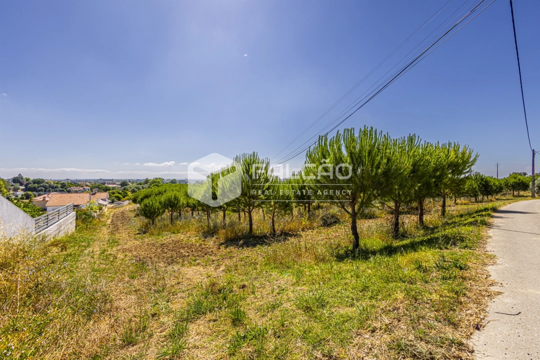 Terreno Agricola ou Rústico para Venda em Romeira e Várzea Foto 10