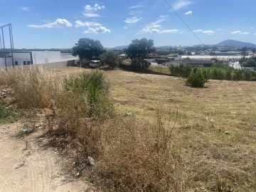 Terreno para Venda em Gambia-Pontes-Alto da Guerra