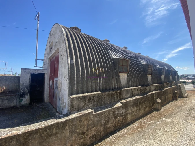 Terreno para Venda em Gambia-Pontes-Alto da Guerra Foto 12