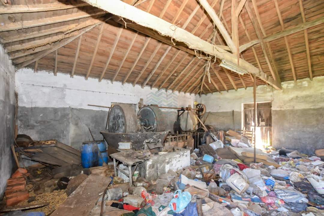 Moradia T5 para Venda em Brogueira, Parceiros de Igreja e Alcorochel Foto 21