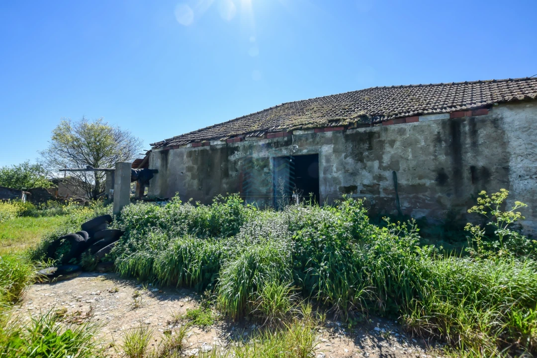Moradia T5 para Venda em Brogueira, Parceiros de Igreja e Alcorochel Foto 11