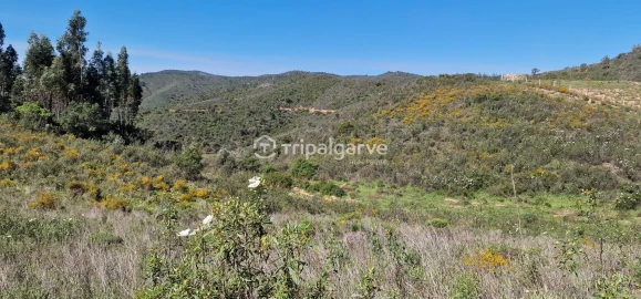 Terreno Misto para Venda em São Marcos da Serra