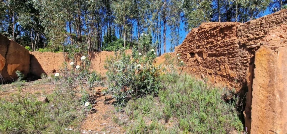 Terreno Misto para Venda em São Marcos da Serra