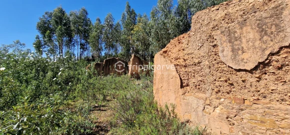 Terreno Misto para Venda em São Marcos da Serra