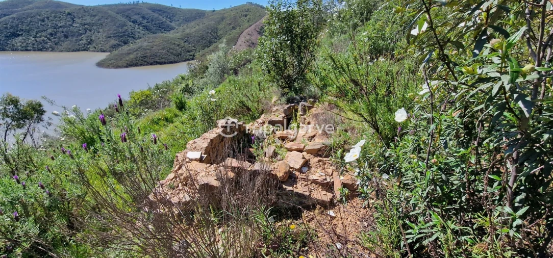 Terreno Misto para Venda em São Marcos da Serra Foto 9