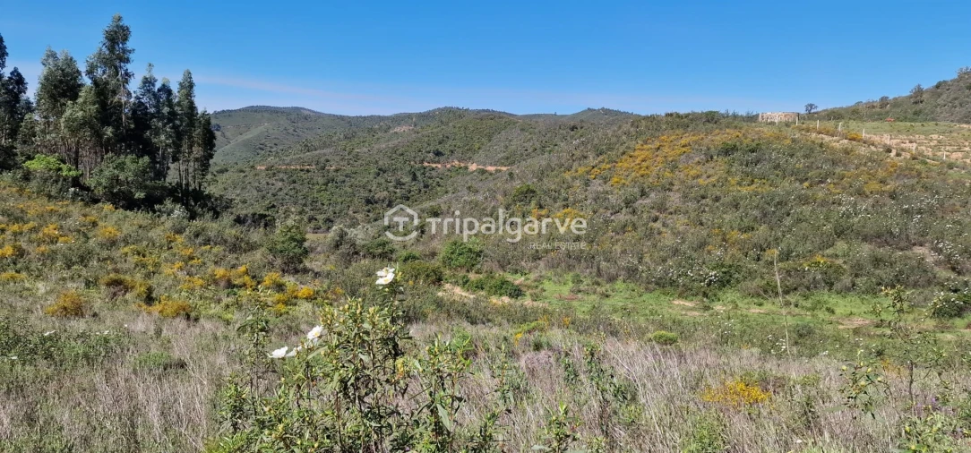 Terreno Misto para Venda em São Marcos da Serra Foto 8