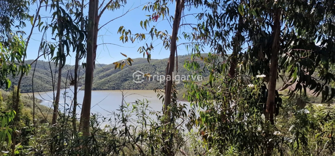 Terreno Misto para Venda em São Marcos da Serra Foto 16