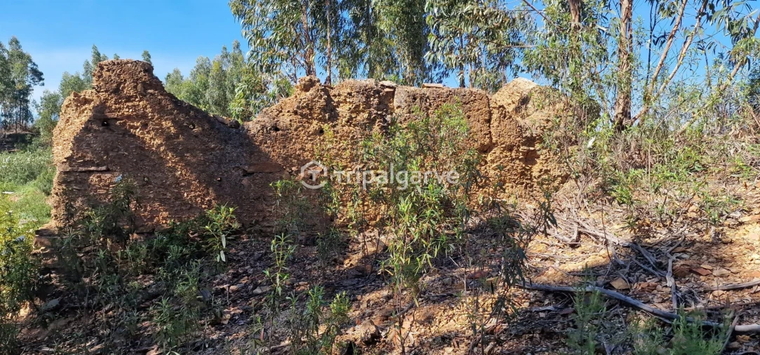 Terreno Misto para Venda em São Marcos da Serra Foto 14