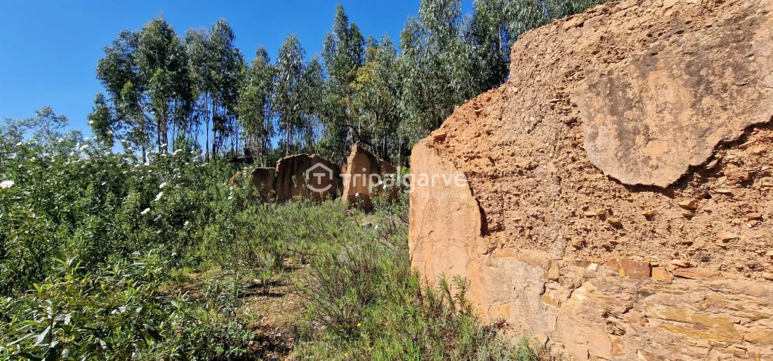 Terreno Misto para Venda em São Marcos da Serra Foto 10