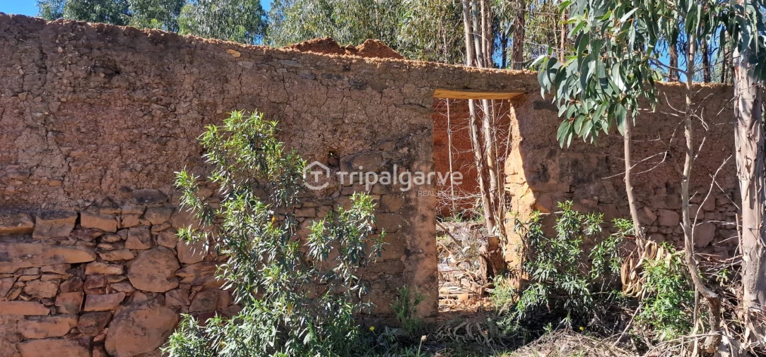 Terreno Misto para Venda em São Marcos da Serra Foto 15