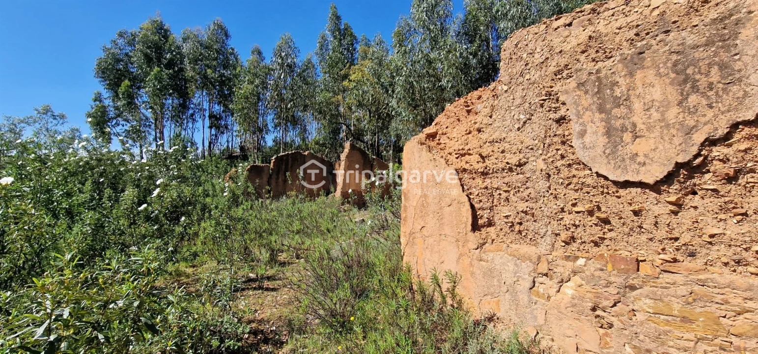 Terreno Misto para Venda em São Marcos da Serra Foto 10