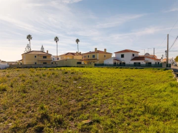 Terreno para Venda em São João das Lampas e Terrugem