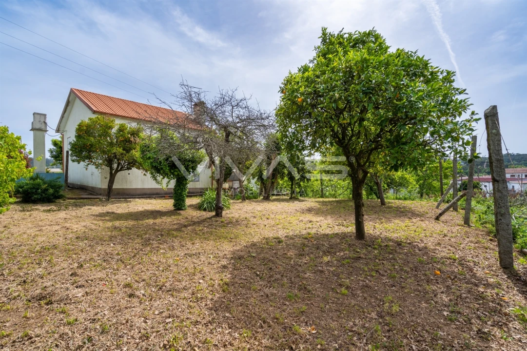 Moradia T3 para Venda em Marrancos e Arcozelo Foto 29