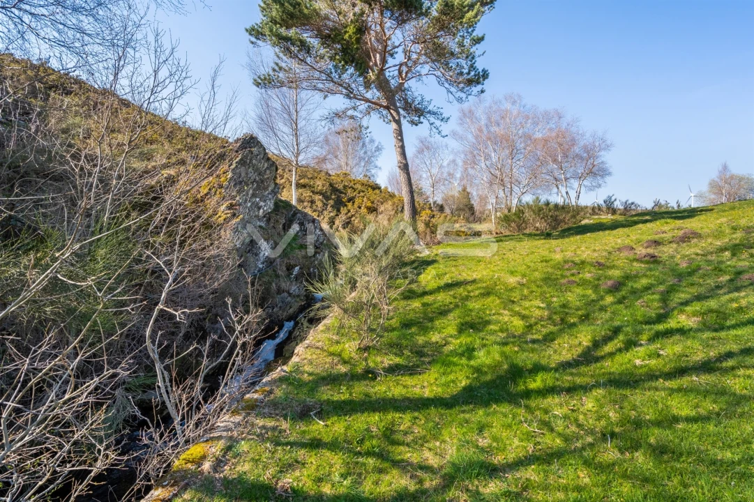 Moradia T2 para Venda em Gave Foto 13