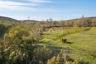 Moradia T2 para Venda em Gave