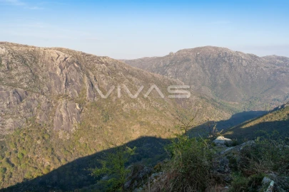 Moradia T2 para Venda em Gave