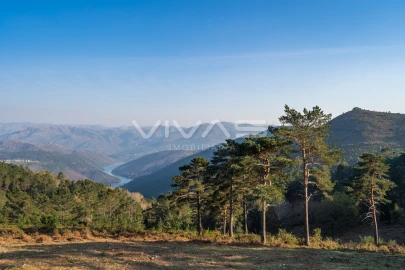 Moradia T2 para Venda em Gave