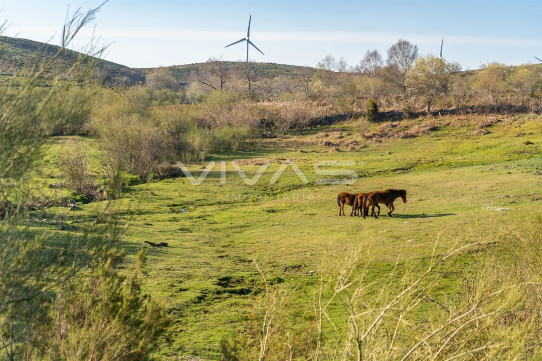 Moradia T2 para Venda em Gave Foto 41